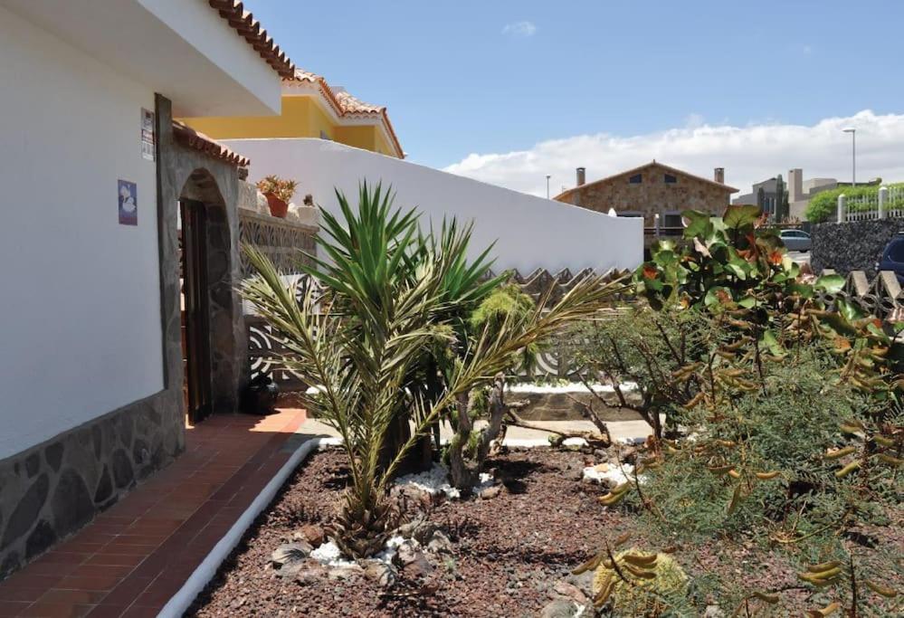 Los Cisnes Encantadora Casa Con Jardin Y Estudio Vista Al Mar El Médano Exterior foto